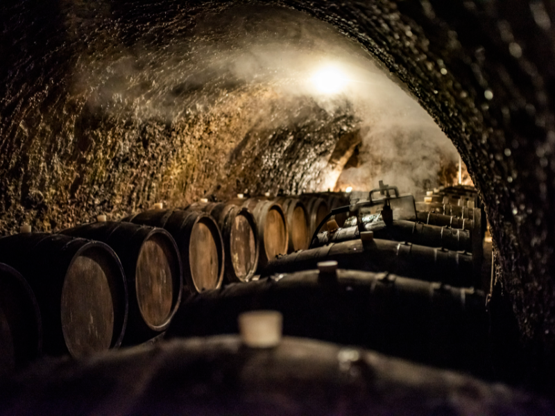 The Chateau Dereszla winery: the underground cellar. A tunnel with barrels  of Tokaji wine Stock Photo - Alamy