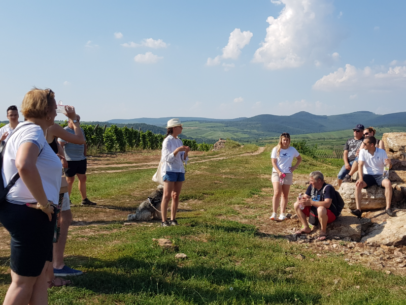 Vineyard Tour In Mad (1)